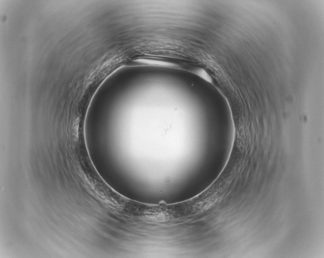 X0000086950454200704231430