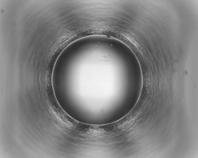 X0000086950455200704231430