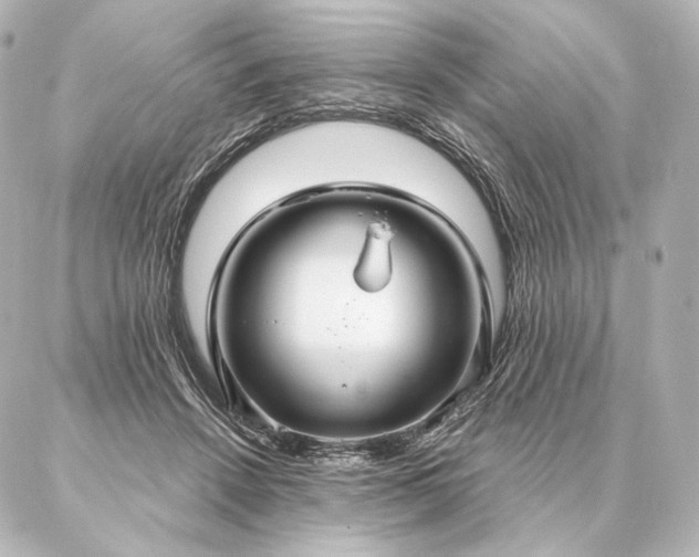 X0000086950456200704231430