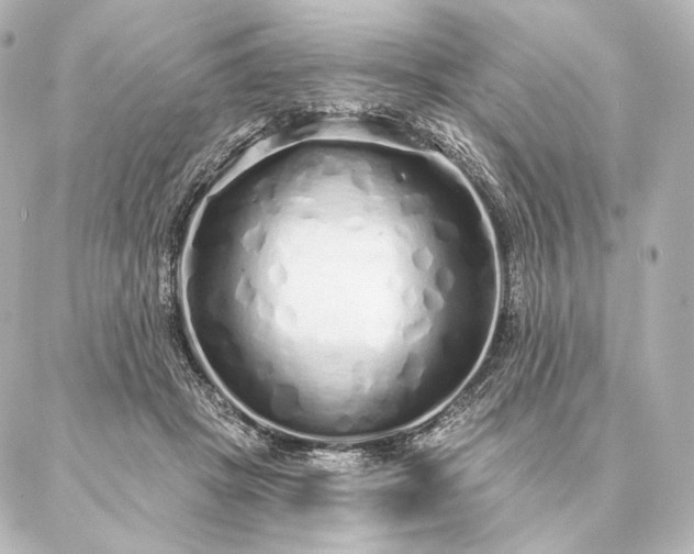 X0000086950457200704231430