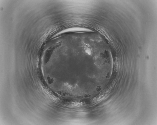 X0000086950458200704231430