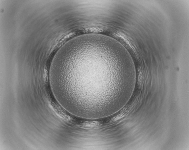 X0000086950459200704231430