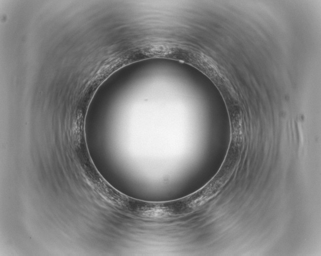 X0000086950460200704231430