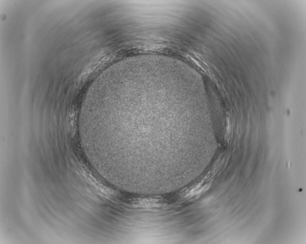 X0000086950462200704231430