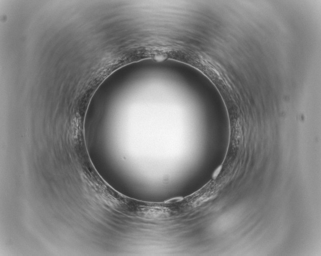 X0000086950463200704231430