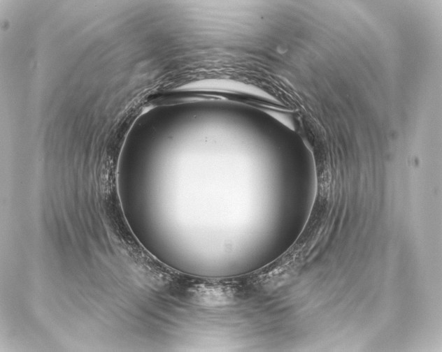 X0000086950464200704231430