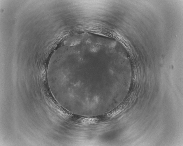 X0000086950465200704231430