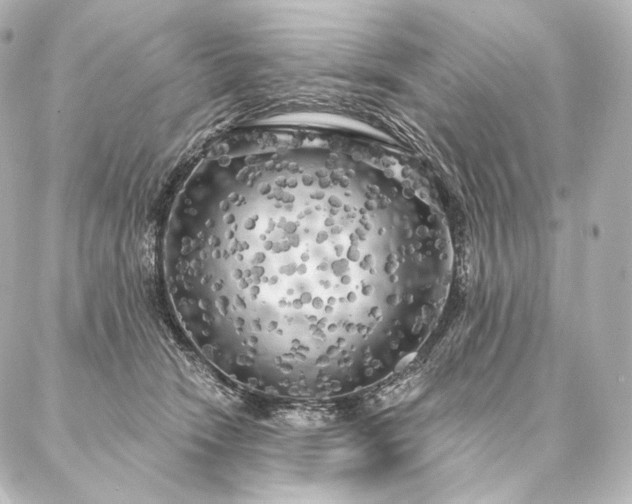 X0000086950466200704231430