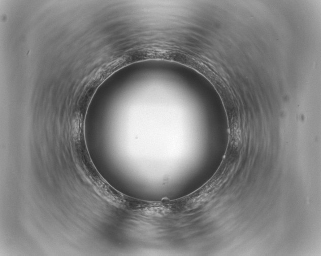 X0000086950468200704231430