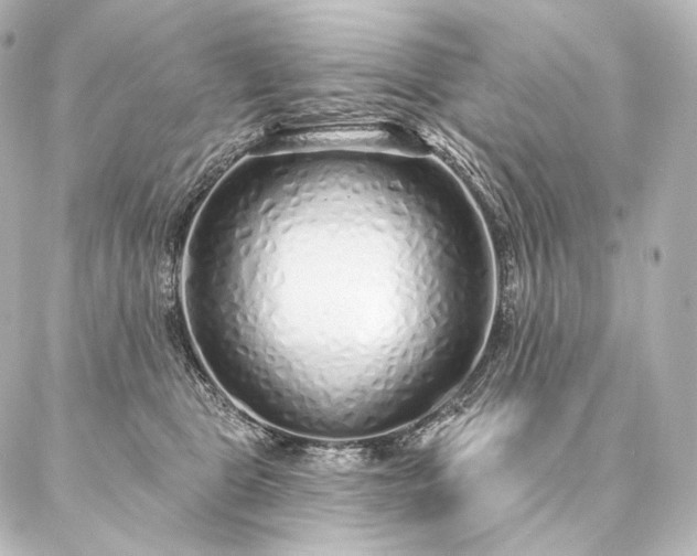 X0000086950469200704231430