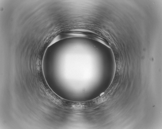 X0000086950470200704231430