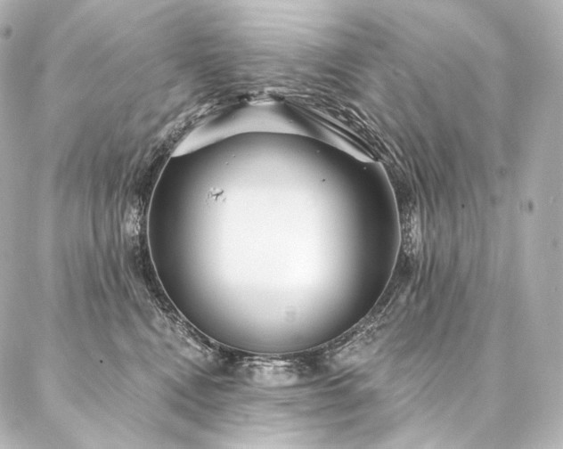 X0000086950472200704231430