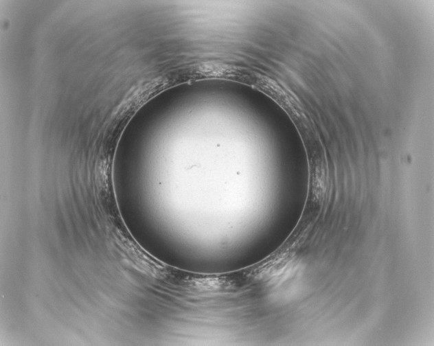 X0000086950473200704231430