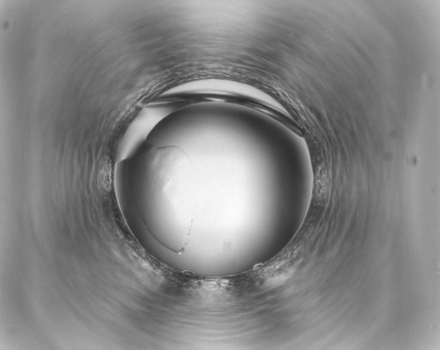 X0000086950474200704231430