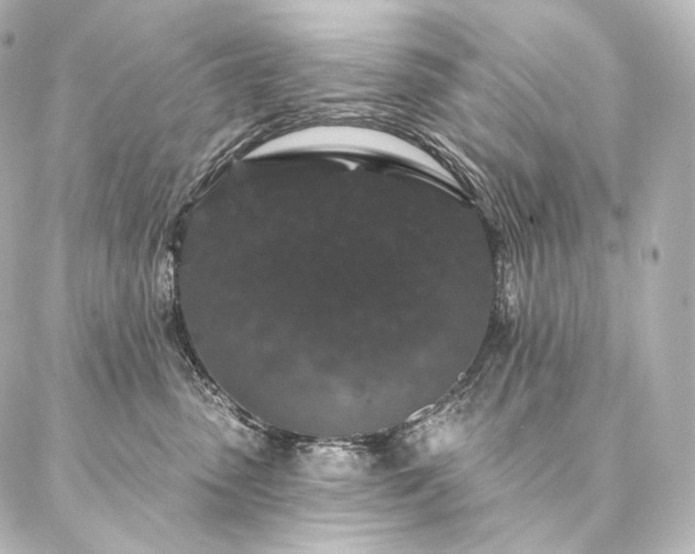 X0000086950475200704231430