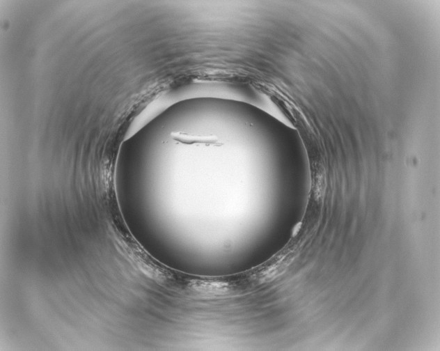 X0000086950476200704231430