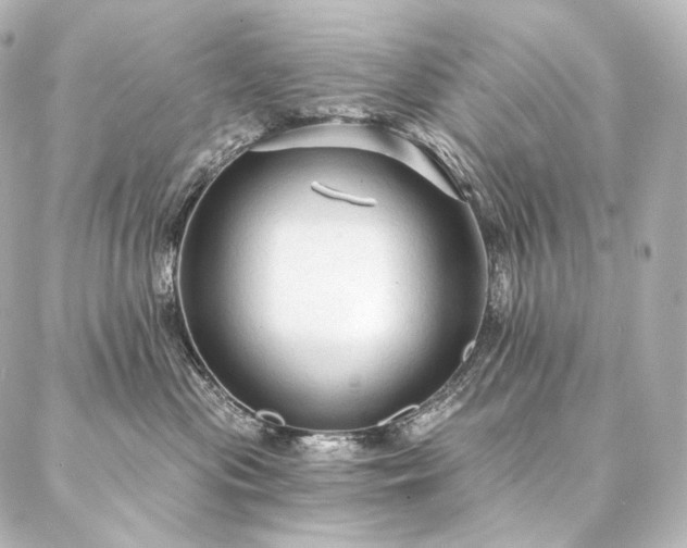 X0000086950477200704231430