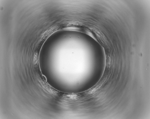 X0000086950478200704231430