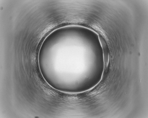 X0000086950483200704231429