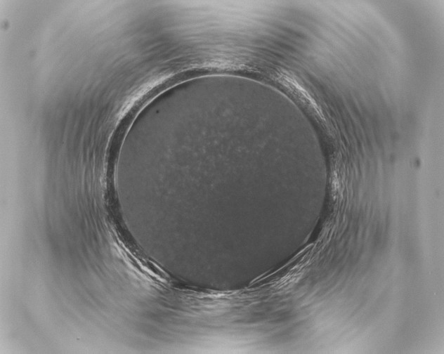 X0000086950484200704231429