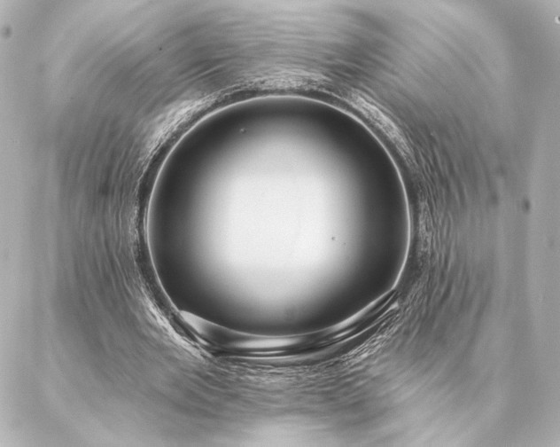 X0000086950485200704231429