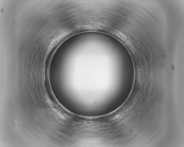 X0000086950486200704231429