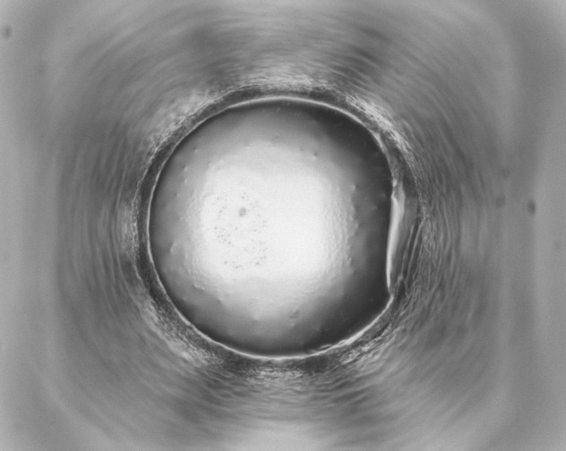 X0000086950487200704231429