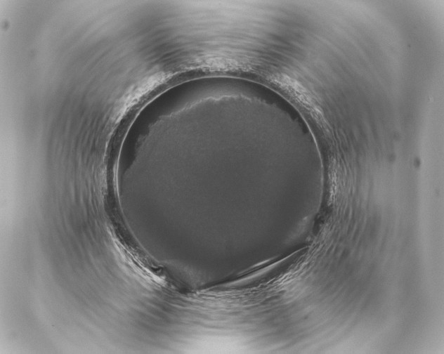 X0000086950488200704231429