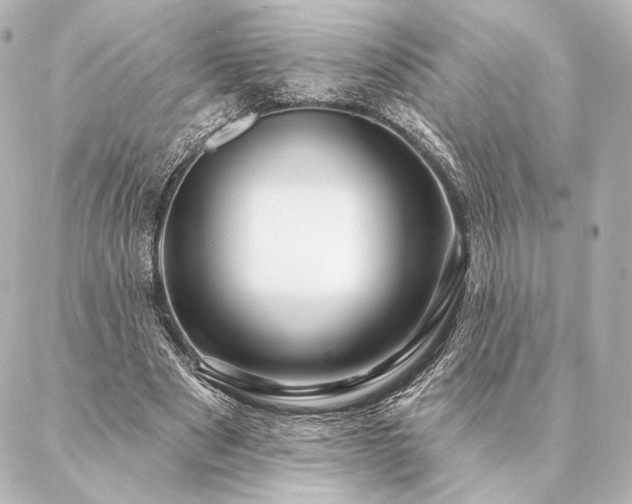 X0000086950489200704231429