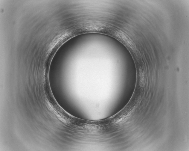 X0000086950490200704231429