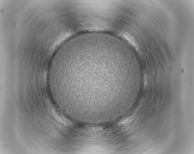 X0000086950491200704231429