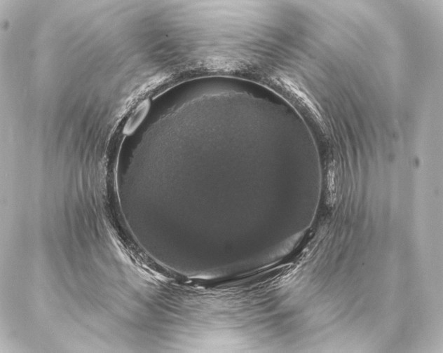 X0000086950492200704231429