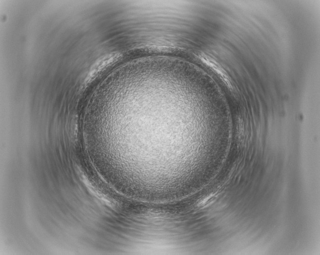 X0000086950494200704231429