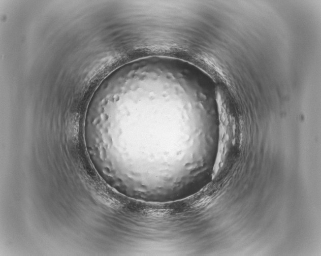 X0000086950495200704231429