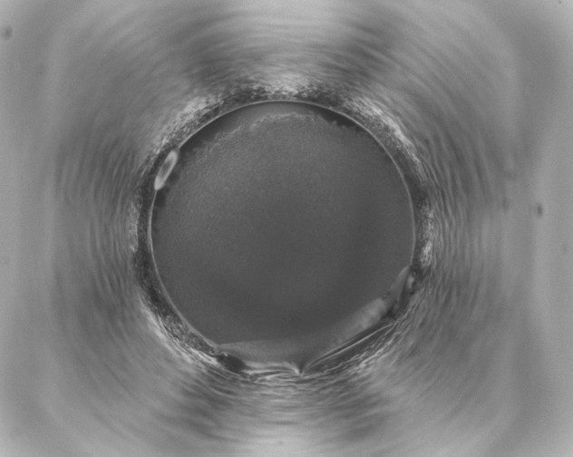 X0000086950496200704231429