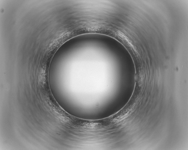 X0000086950497200704231429