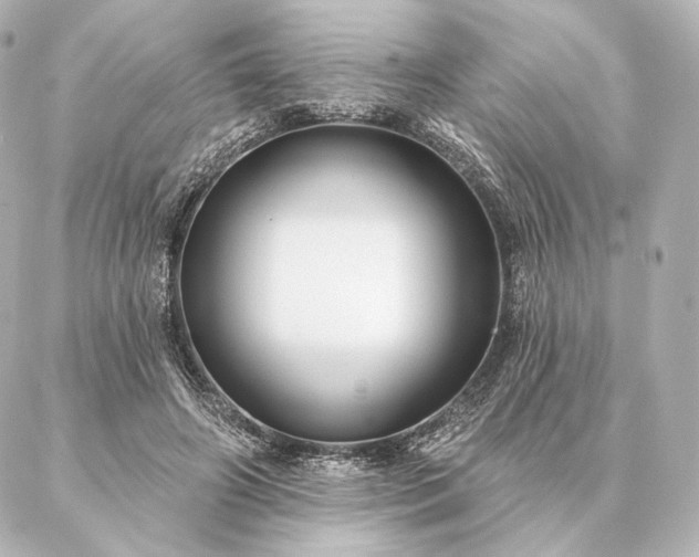 X0000086950498200704231429