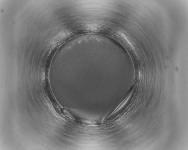 X0000086950500200704231429