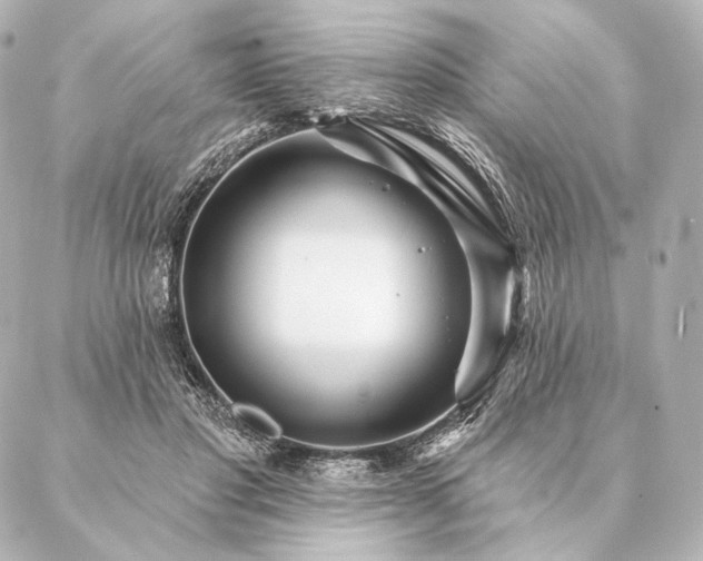 X0000086950501200704231429