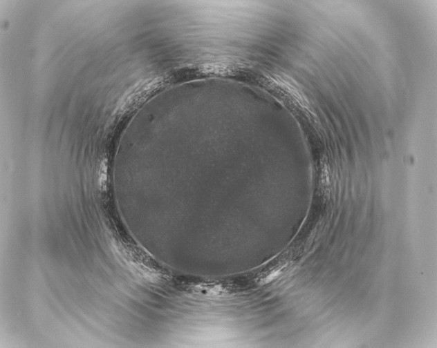 X0000086950502200704231429