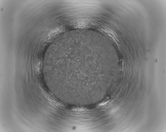 X0000086950503200704231429