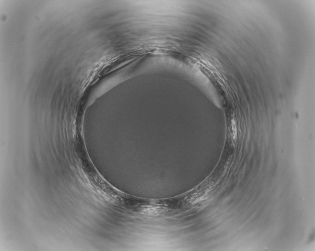 X0000086950504200704231429