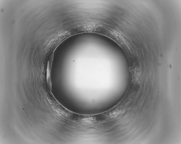 X0000086950505200704231429