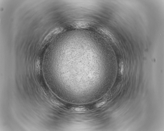 X0000086950506200704231429