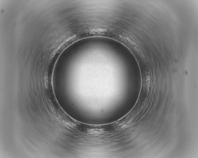 X0000086950508200704231429