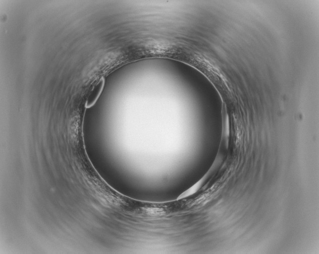 X0000086950509200704231429