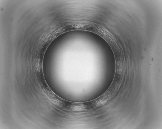 X0000086950510200704231429