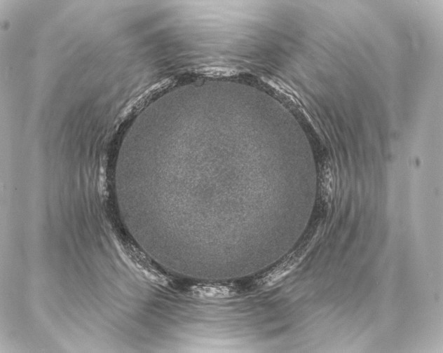 X0000086950512200704231429