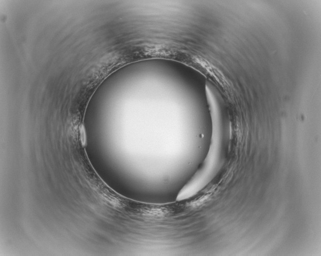 X0000086950513200704231429