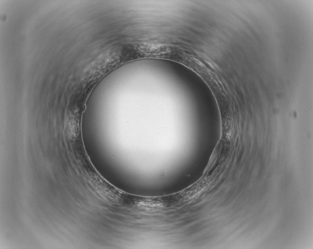 X0000086950515200704231429